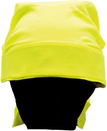 Bandana Neon